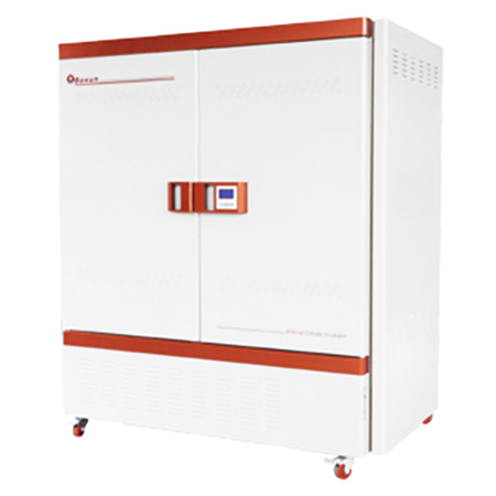 BMJ-800C霉菌培養(yǎng)箱 細菌微生物培養(yǎng)箱